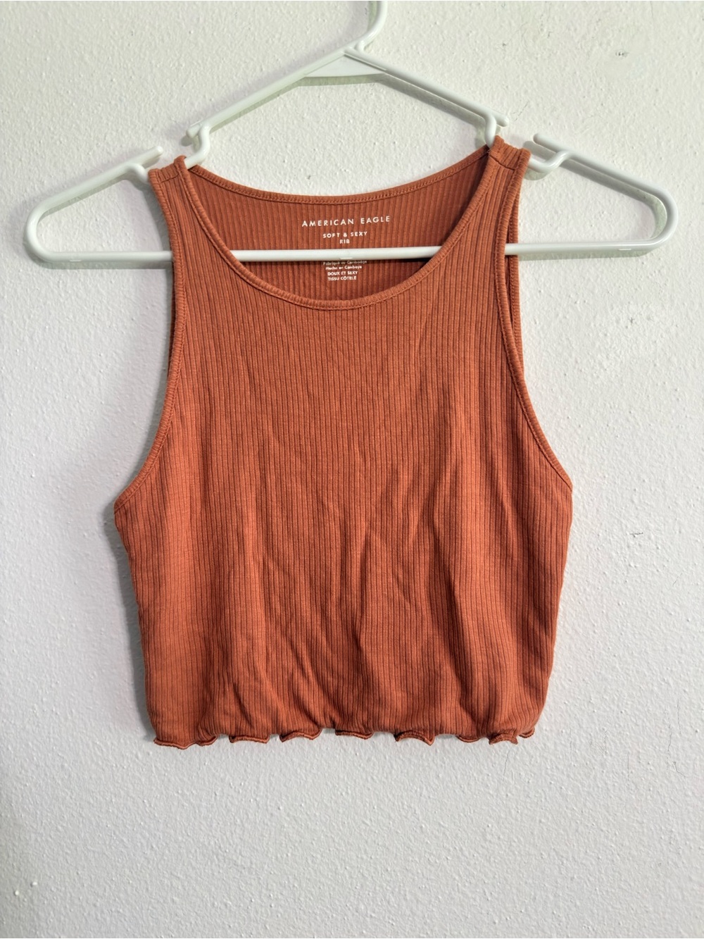 American Eagle Outfitters • Ribbed Cropped Tank Top in Terracotta Orange
